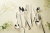 v_0302.467 Ложка десертная Mayfair v_0302.467 Ложка десертная Mayfair