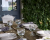 Тарелка глубокая 23см COSTA NOVA, серия White TP231-WHT(TP231-00201Z) Тарелка глубокая 23см COSTA NOVA, серия White TP231-WHT(TP231-00201Z)